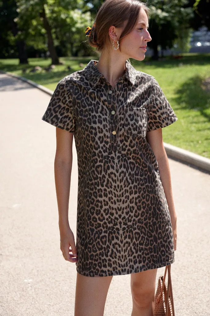 Tezza-0876.webp