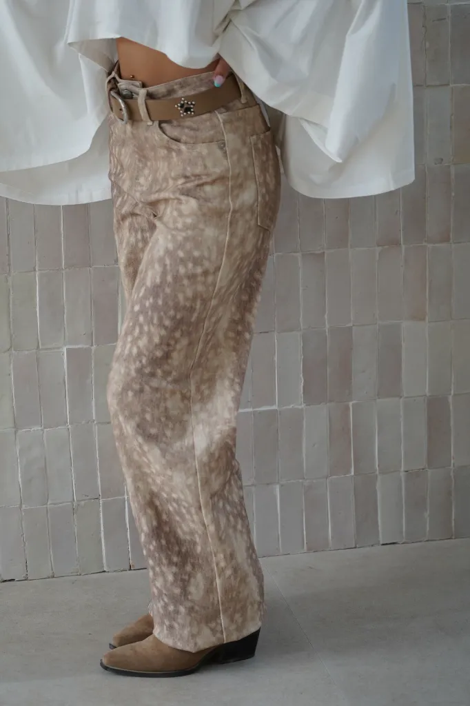 DSC07419.webp