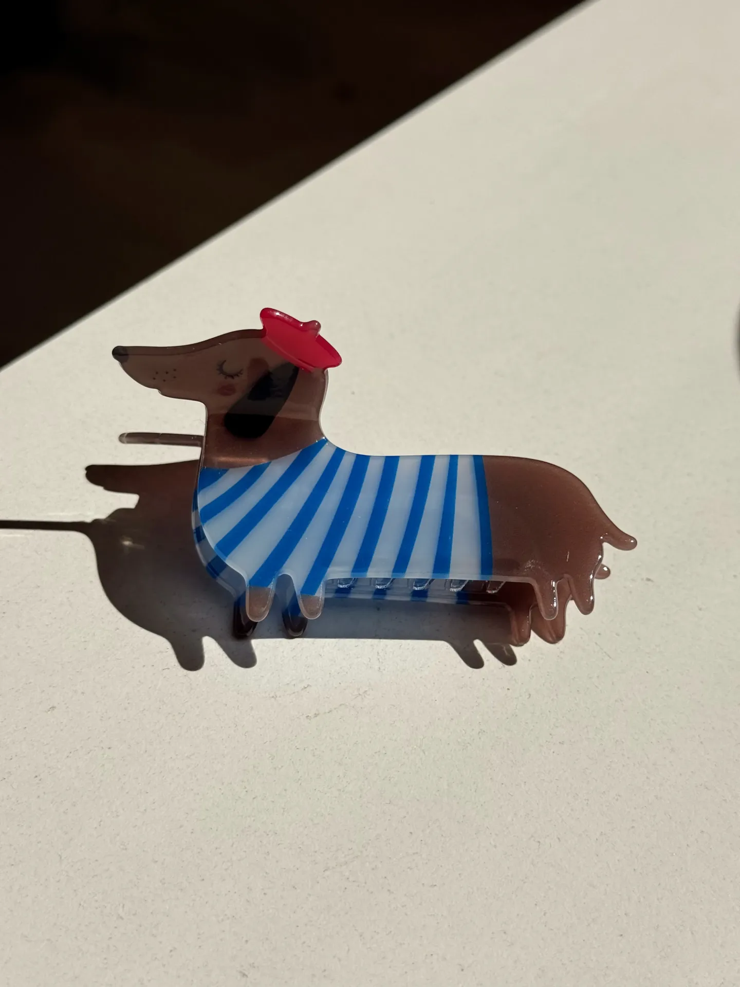 Pince teckel pull rayé bleu