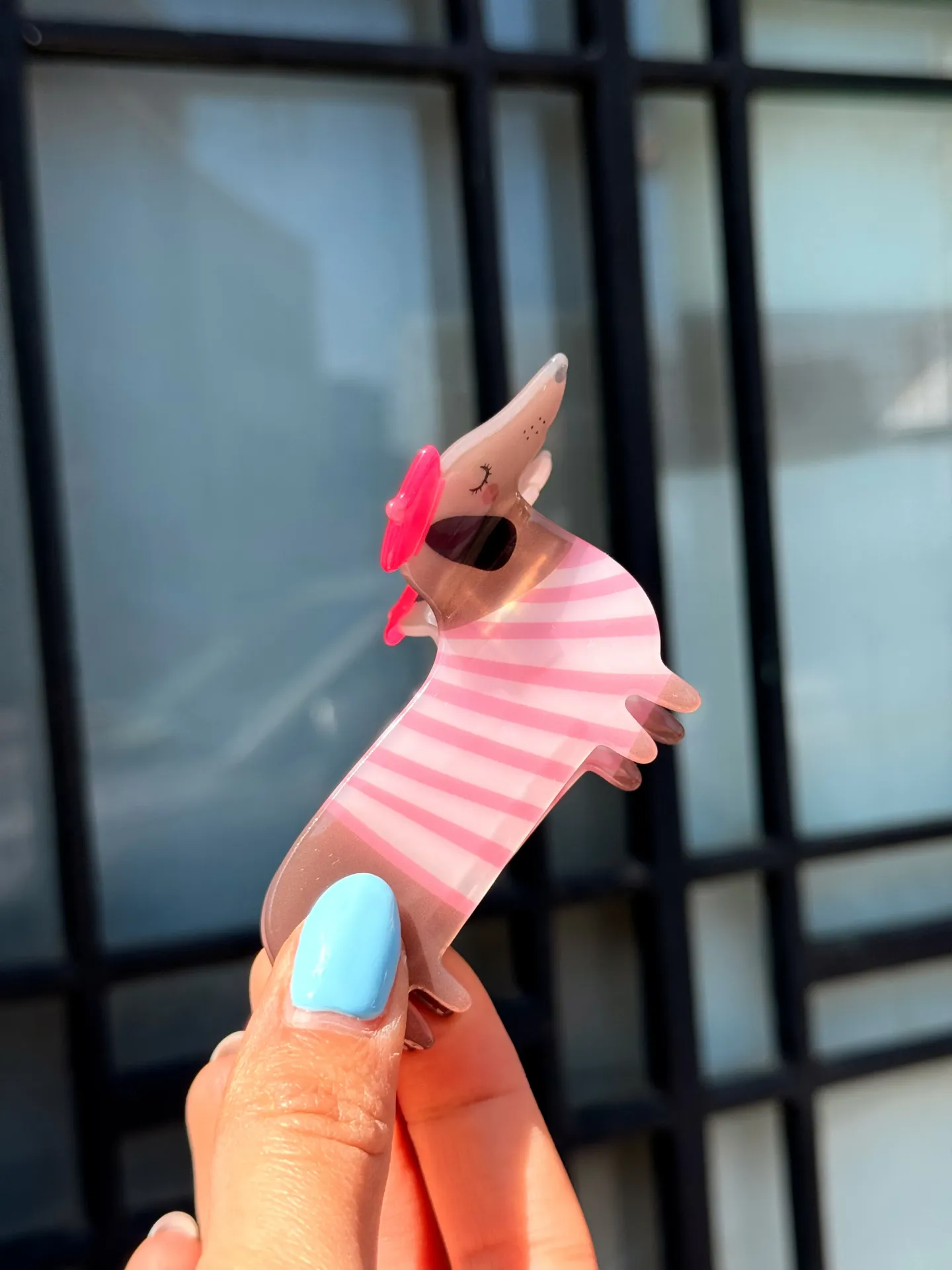 Pince teckel pull rayé rose