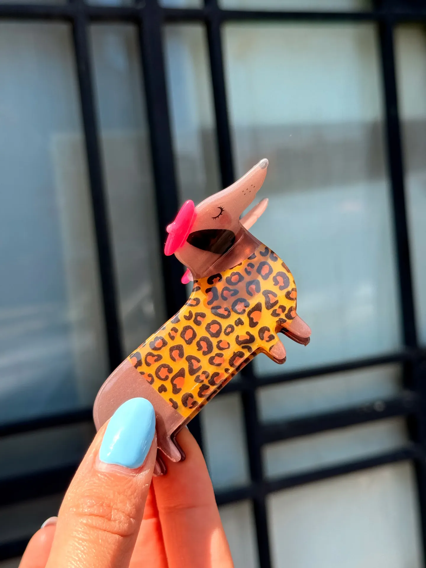 Pince teckel pull léopard