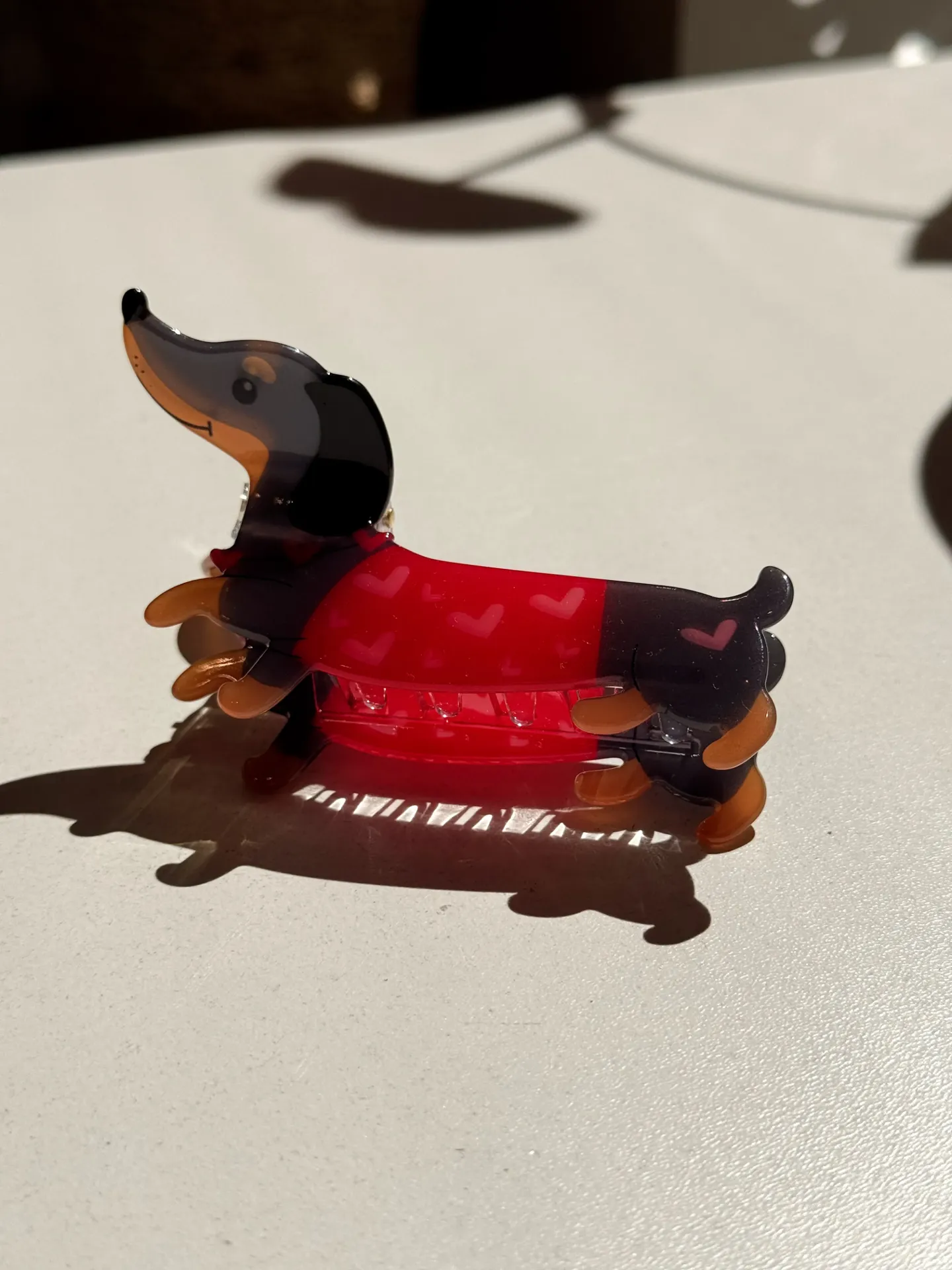 Pince teckel pull à coeurs