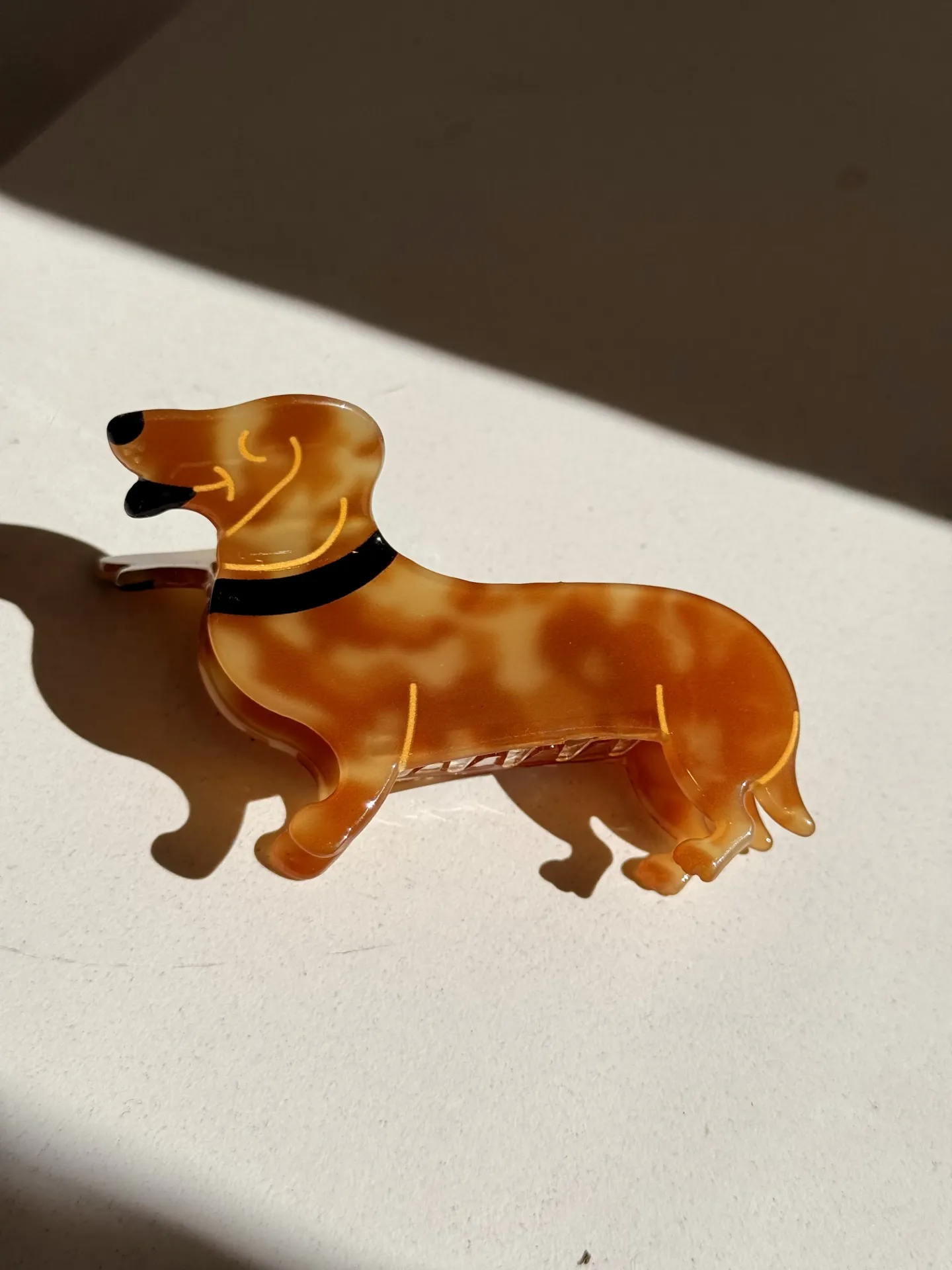 Pince teckel brun/collier noir