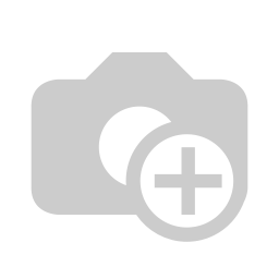 Ceinture JAYCE léopard