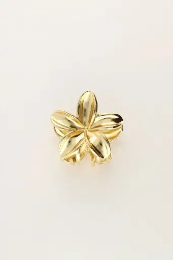 Pince dorée mini tahiti